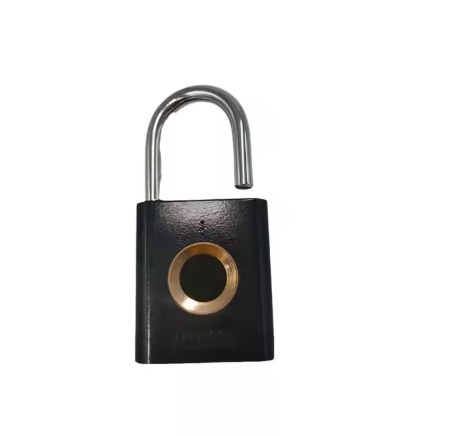 đ Cadenas Intelligent Ă Empreinte Digitale â SĂ©curitĂ© Sans ClĂ© (35mm, Noir)